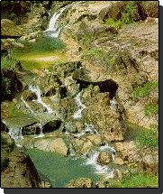 Pools At Pine Ridge