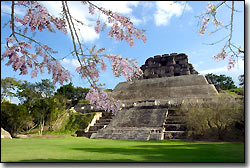 court yard and main temple of Xunantunich