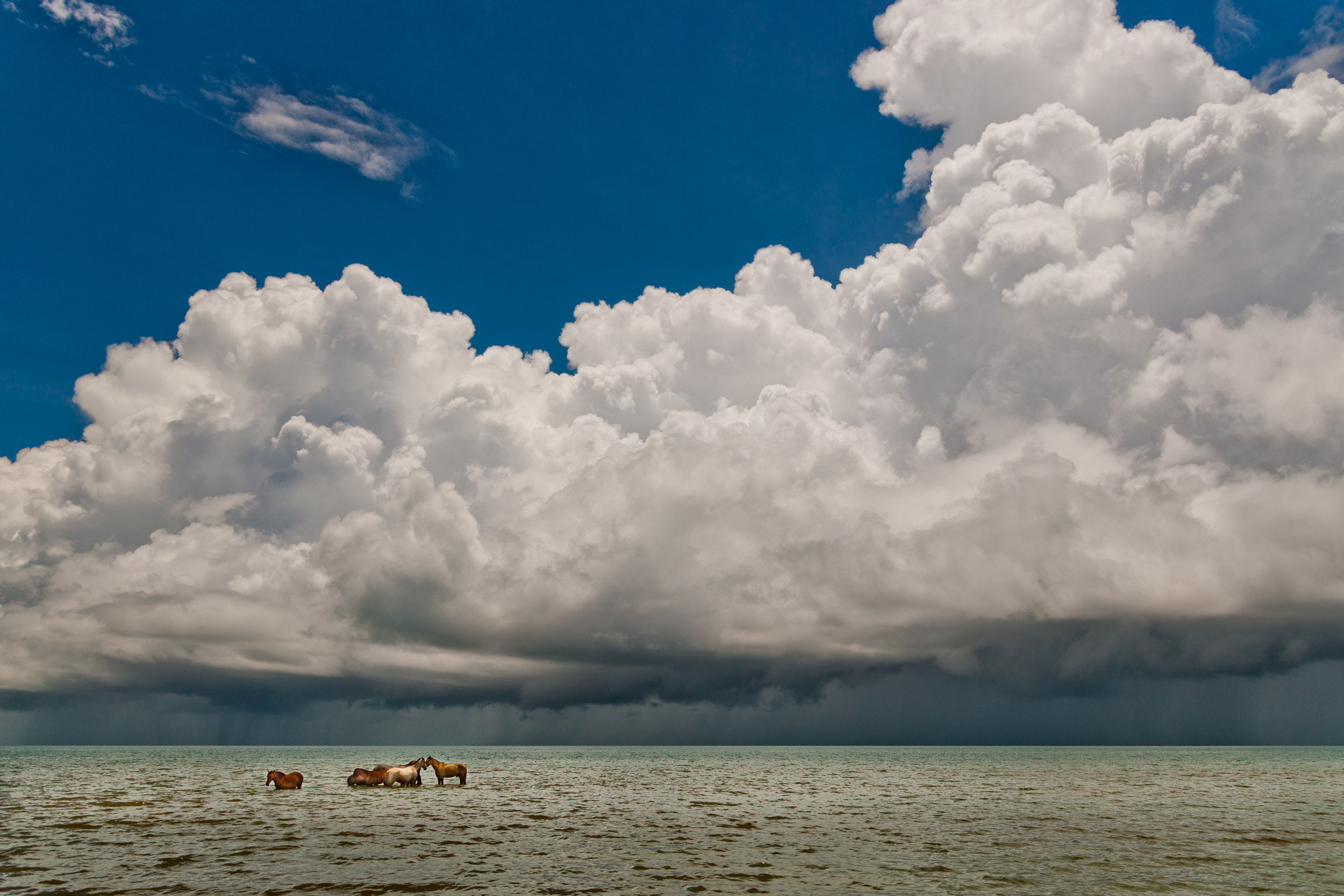 Dangriga